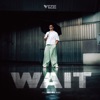 VIZE - Wait (Alibi Blue) (Record Mix)